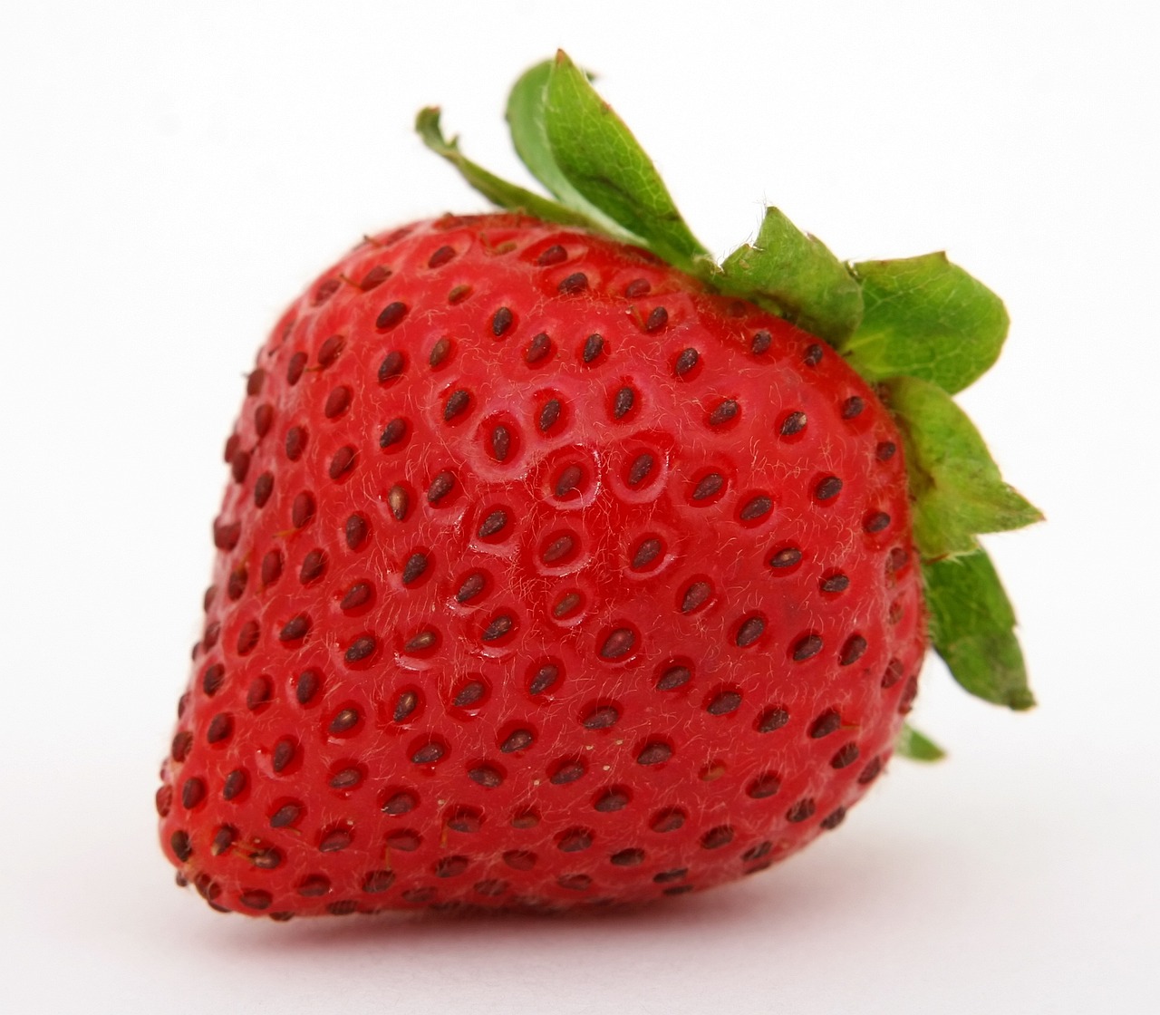 The Benefits of Organic vs. Conventional Gardening